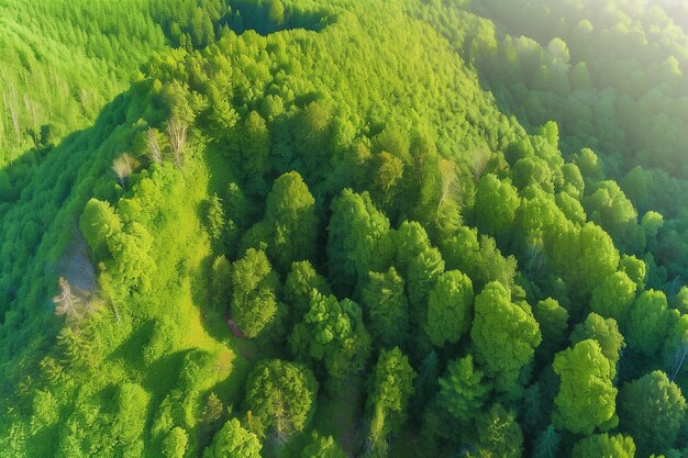 Vista aérea de Green Field Ai generativo