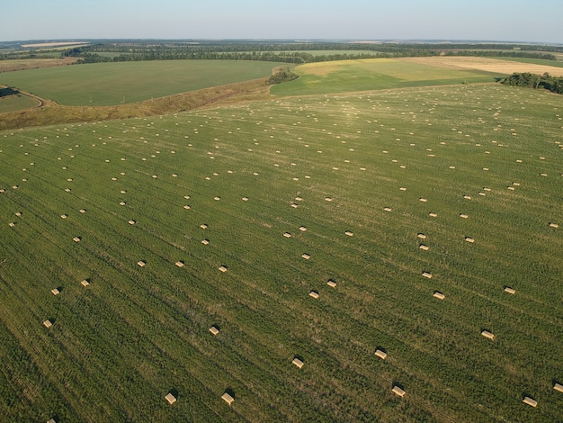 Vista aérea de heno apilado en el campo de trigo bajo el cielo. Campo de ambrosía. Fotografía de drones.