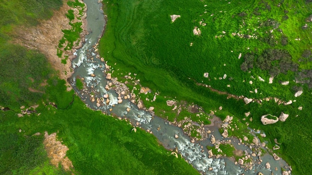 Vista aérea de la hermosa corriente de agua natural y el campo verde de hierba en el concepto de montaña del bosque salvaje viajando y relajándose en vacaciones