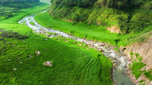 Vista aérea de la hermosa corriente de agua natural y el campo verde de hierba en el concepto de montaña del bosque salvaje viajando y relajándose en vacaciones