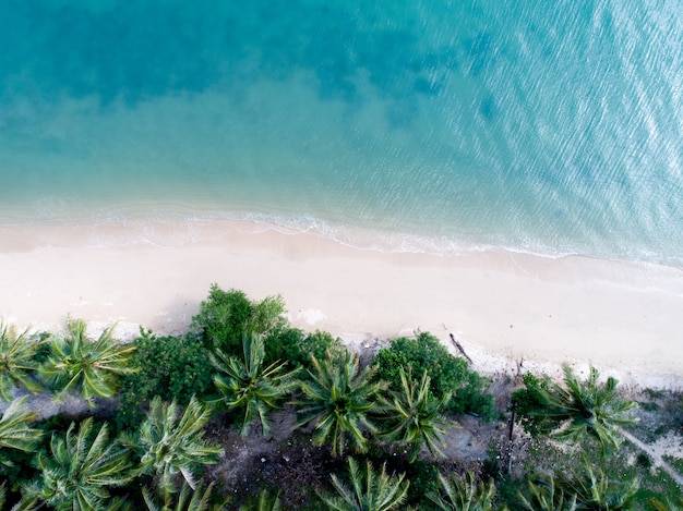 Vista aérea de la hermosa playa de arena blanca con agua de mar de color turquesa y palmeras