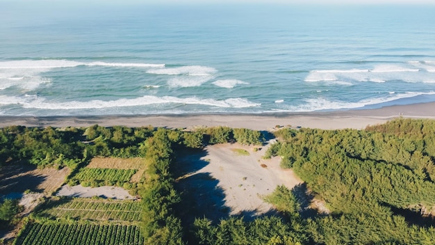 Foto vista aérea de la hermosa playa de la mañana