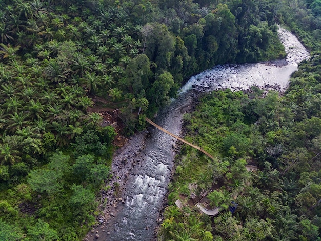 Foto vista aérea hermosa vista matutina desde indonesia sobre la montaña y el bosque