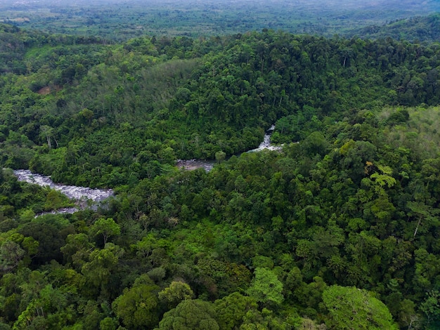 Vista aérea hermosa vista matutina desde Indonesia sobre montaña y bosque