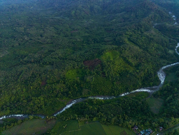 Vista aérea hermosa vista matutina desde Indonesia sobre montaña y bosque