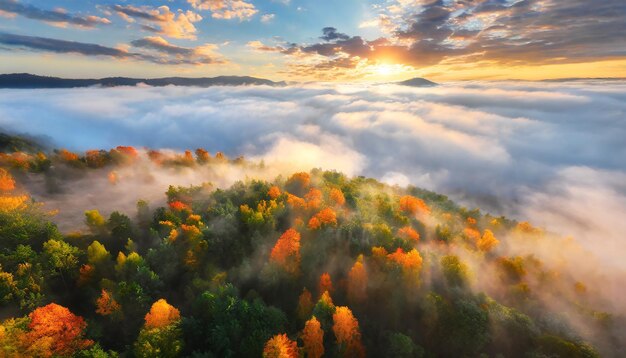 Vista aérea de un hermoso bosque de otoño colorido en nubes bajas al amanecer Vista superior de naranja