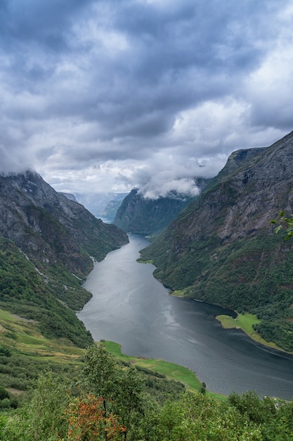 Vista aérea de un hermoso fiordo noruego, el Sognefjord, vertical.