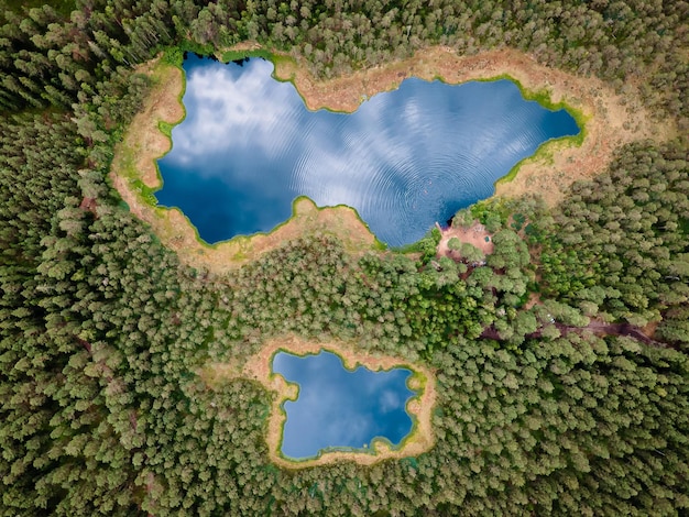 Vista aérea del hermoso lago de bosque salvaje