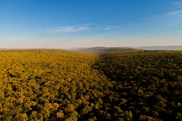 Vista aérea de un hermoso otoño árboles rojo amarillo y verde bosque lento vuelo de drone sobre otoño ...