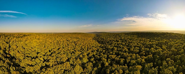 Vista aérea de un hermoso otoño árboles rojo amarillo y verde bosque lento vuelo de drone sobre otoño ...