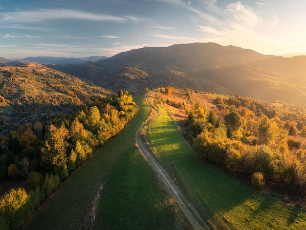 Vista aérea de hermosos bosques de colinas verdes y montañas al atardecer en otoño en Ucrania Paisaje colorido con senderos de bosques prados árboles de luz solar dorada en otoño Naturaleza Vista superior desde un dron