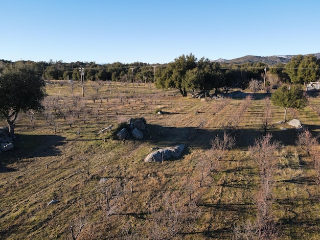 Vista aérea de hileras de manzanos en un huerto durante la temporada de invierno. Plantación de árboles frutales de manzana.