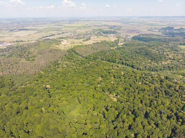 Vista aérea del horario de verano del paisaje forestal