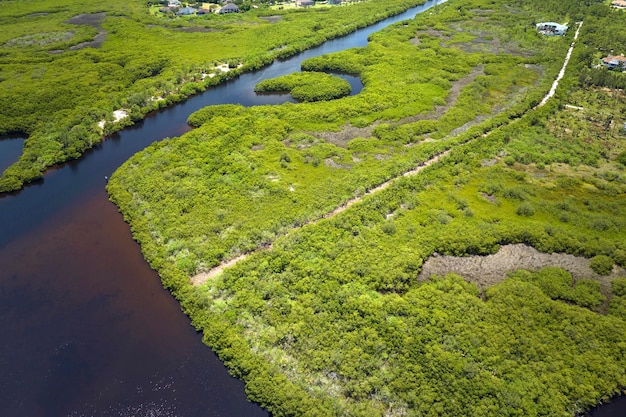 Vista aérea de los humedales de Florida con vegetación verde entre las entradas de agua del océano Hábitat natural de muchas especies tropicales