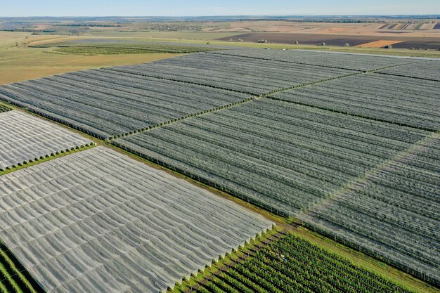 Vista aérea del invernadero de plástico en el huerto de manzanas. Cultivo de plantas en agricultura ecológica.