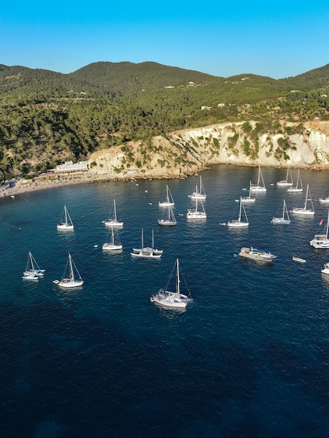 Foto vista aérea de la isla de cala dhort ibiza