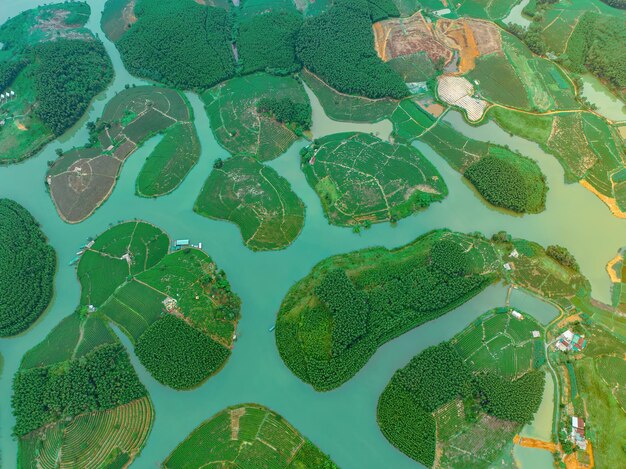 Vista aérea de la isla de Thanh Chuong, la colina del té, el paisaje verde, el fondo, la hoja verde, Thanh Chuung Nghe, Vietnam