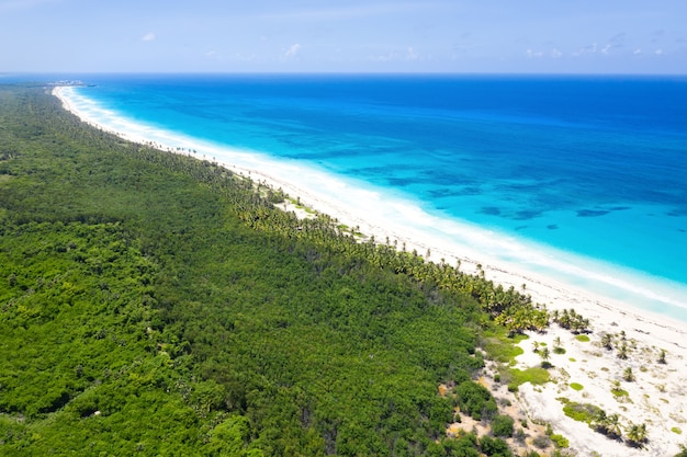 Vista aérea de una isla tropical con palmeras.