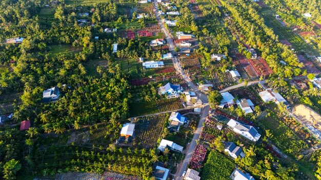 Vista aérea del jardín de flores Cho Lach en Ben Tre Vietnam Su famoso en el Delta del Mekong preparando flores de transporte al mercado para la venta en las vacaciones de Tet