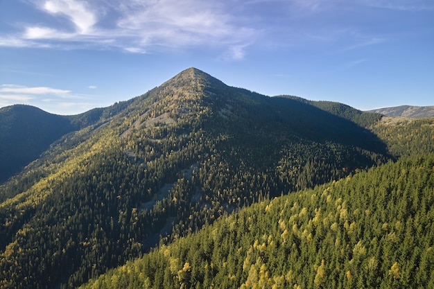 Vista aérea de la ladera con árboles de bosque de abetos oscuros en el día brillante de otoño Hermoso paisaje de bosques de montaña salvaje