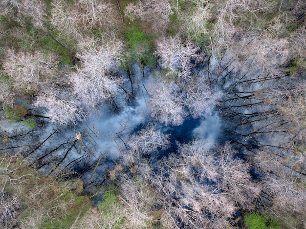 Vista aérea de un lago en el bosque a principios de la primavera el reflejo del cielo en la superficie del agua