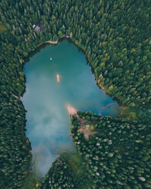 Vista aérea del lago de los cárpatos synevyr temporada de otoño