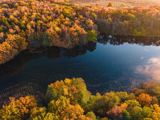 Vista aérea del lago en el hermoso bosque otoñal Vista desde drone
