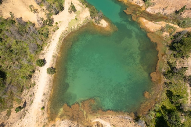 Vista aérea de un lago en un parque verde con árboles