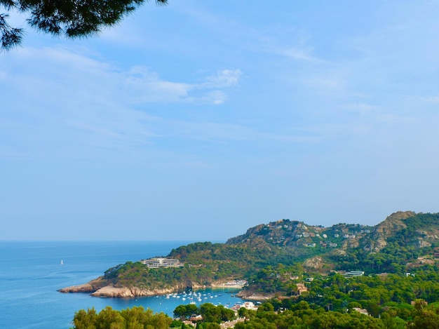 Vista aérea de la línea de mar de la Costa Brava con una vegetación vívida en verano Cataluña España