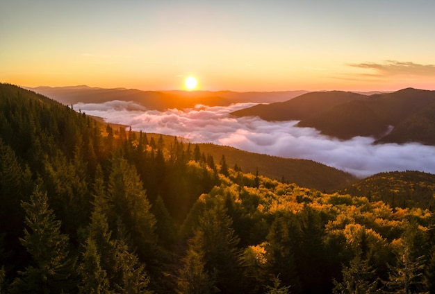 Vista aérea de la mañana de niebla brillante sobre los árboles del bosque de montaña oscura al amanecer de otoño Hermoso paisaje de bosques salvajes al amanecer