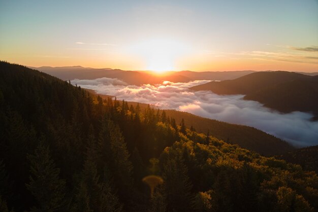 Vista aérea de la mañana de niebla brillante sobre los árboles del bosque de montaña oscura al amanecer de otoño Hermoso paisaje de bosques salvajes al amanecer