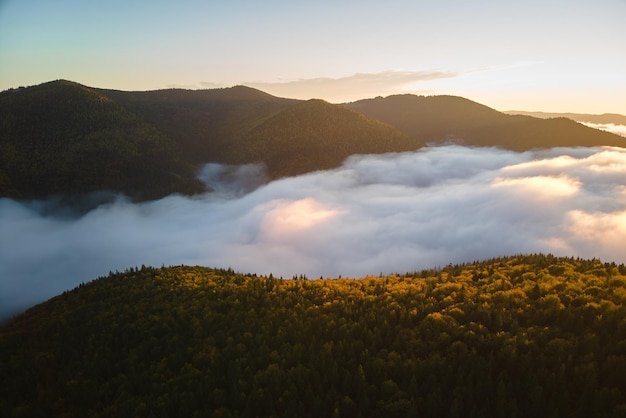 Vista aérea de la mañana de niebla brillante sobre los árboles del bosque de montaña oscura al amanecer de otoño Hermoso paisaje de bosques salvajes al amanecer