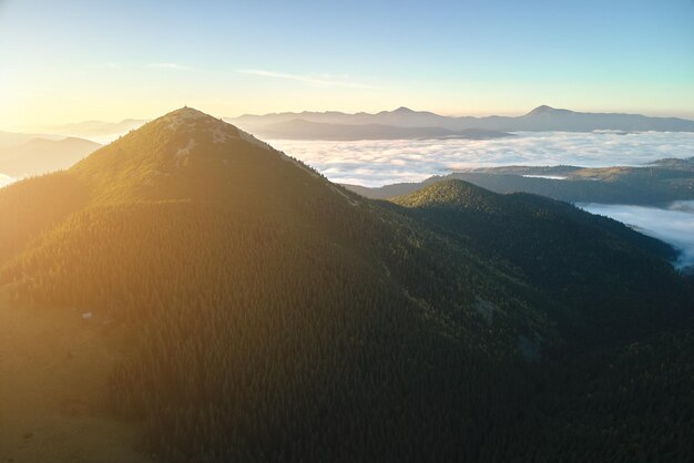 Vista aérea de la mañana de niebla brillante sobre pico oscuro con árboles de bosque de montaña al amanecer de otoño Hermoso paisaje de bosque salvaje al amanecer