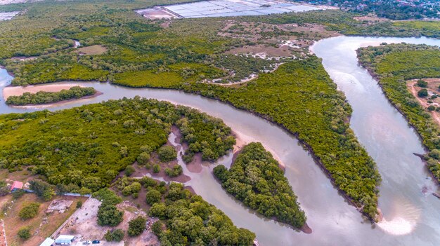 Foto vista aérea de los manglares en dar es salaam