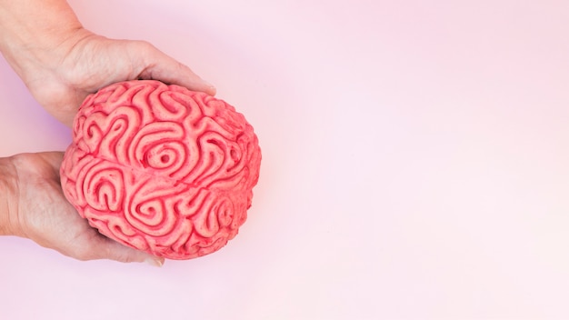 Foto una vista aérea de la mano que sostiene el modelo rosado del cerebro contra el contexto coloreado