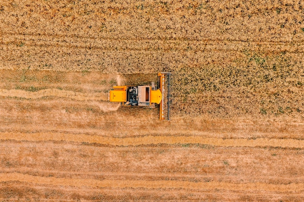 Vista aérea de la máquina agrícola cosechadora que trabaja en un campo de trigo maduro dorado