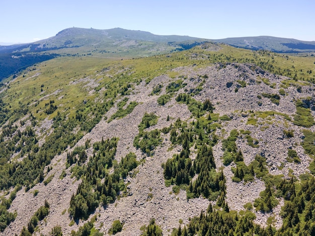 Foto vista aérea de la montaña vitosha cerca del pico kamen del, bulgaria