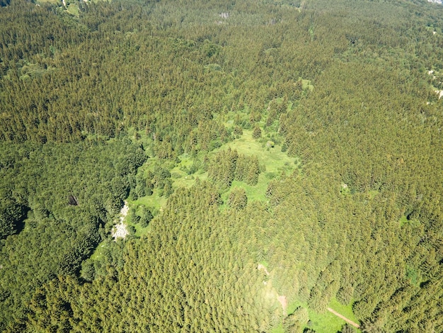 Foto vista aérea de la montaña vitosha cerca del pico kamen del, bulgaria