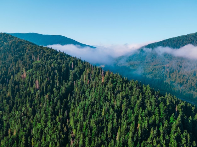 Vista aérea de las montañas de los Cárpatos gama nubes blancas