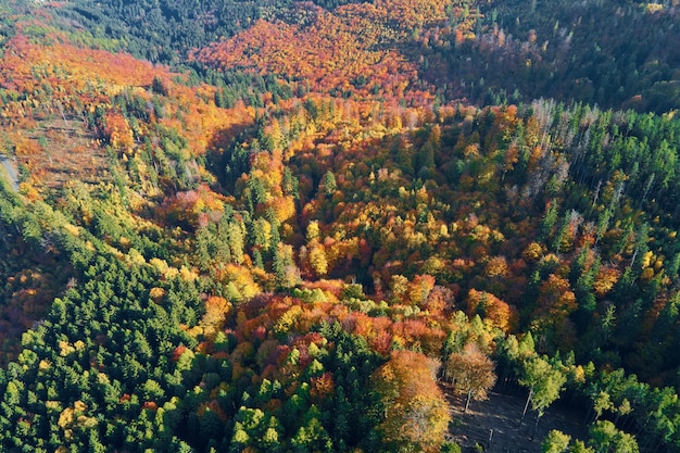 Vista aérea de las montañas cubiertas de bosque otoñal