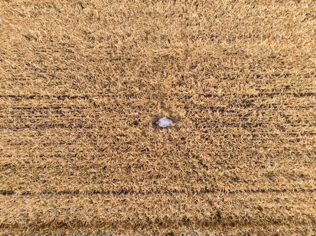 Vista aérea, de, mujer, acostado, en, el, campo de trigo