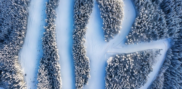 Vista aérea na encosta na estância de esqui Floresta e pista de esqui do ar Paisagem de inverno de um drone Paisagem de neve na estância de esqui Fotografia aérea