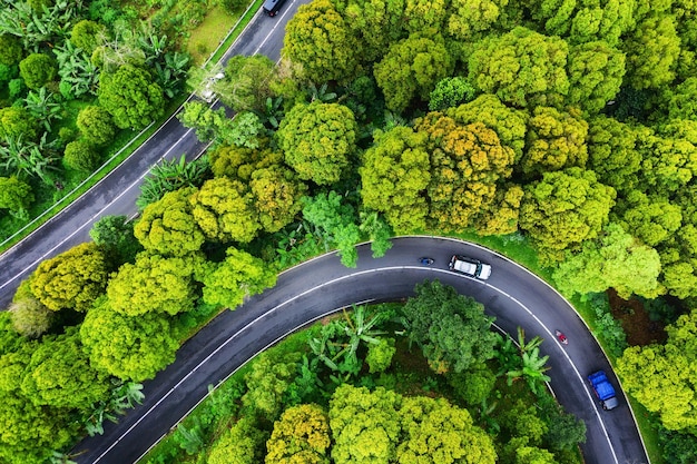 Vista aérea na estrada na floresta Rodovia através da floresta Vista de um drone Paisagem natural no verão a partir do ar Imagem de viagens e férias