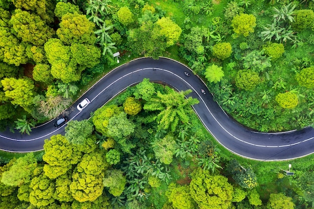 Vista aérea na estrada na floresta Rodovia na floresta Vista de um drone Paisagem natural no horário de verão do ar Imagem de viagem