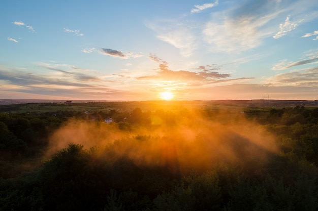 Vista aérea de la niebla ligera que cubre los árboles del bosque oscuro al atardecer cálido.