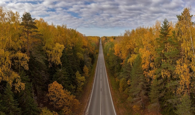 Vista aérea desde el nivel del árbol de un largo camino recto que atraviesa un denso bosque en vivos colores otoñales