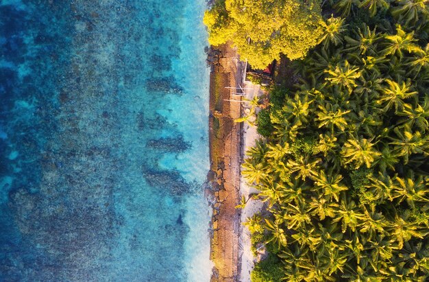 Vista aérea en el océano y las palmeras Fondo de agua turquesa desde la vista superior Paisaje marino de verano desde el aire Isla de Bali Indonesia Imagen de viaje