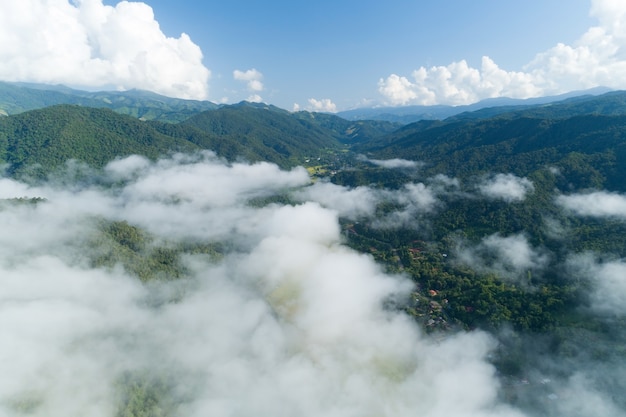 Vista aérea de las olas de niebla que fluyen en la selva tropical de montaña