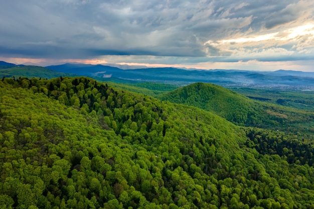 Vista aérea de las oscuras colinas de las montañas cubiertas de pinos verdes mixtos y frondosos bosques en la noche.