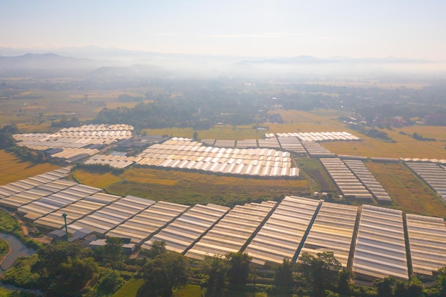 Foto vista aérea del paisaje agrícola